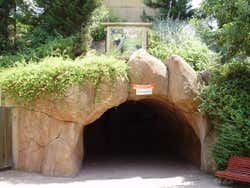 Entrada da floresta em forma de caverna no Faunia