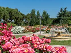 Jardim Botânico de Madrid na primavera