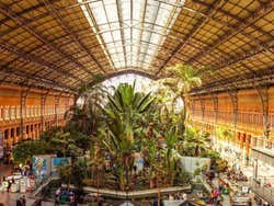 Jardim Tropical interior da estação de trem de Atocha