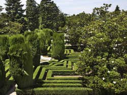 Percorrendo os jardins de Sabatini de Madrid
