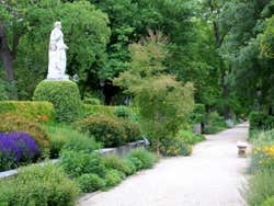 Passeio do Jardim Botânico de Madrid