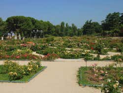 Roseiral do parque del Oeste