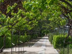 Real Jardim Botânico de Madrid
